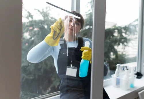 Nettoyage de vitres intérieures et extérieures à Lathus-Saint-Rémy